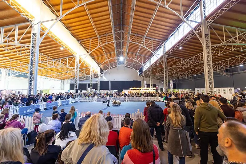 Jede menge Spaß und Action am Ehrenring der Haustiermesse Wien