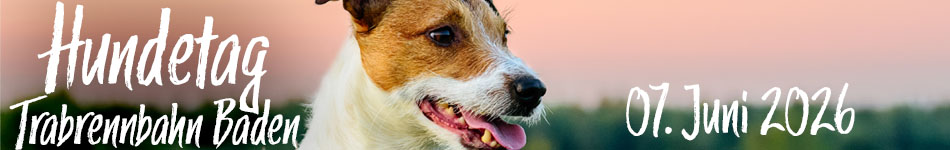 Logo Hundetag Baden 2026 - 7.Juni 2026